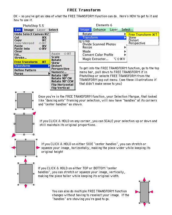 how to use photoshop free transform