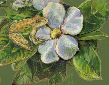 white.flower.frog.jpg